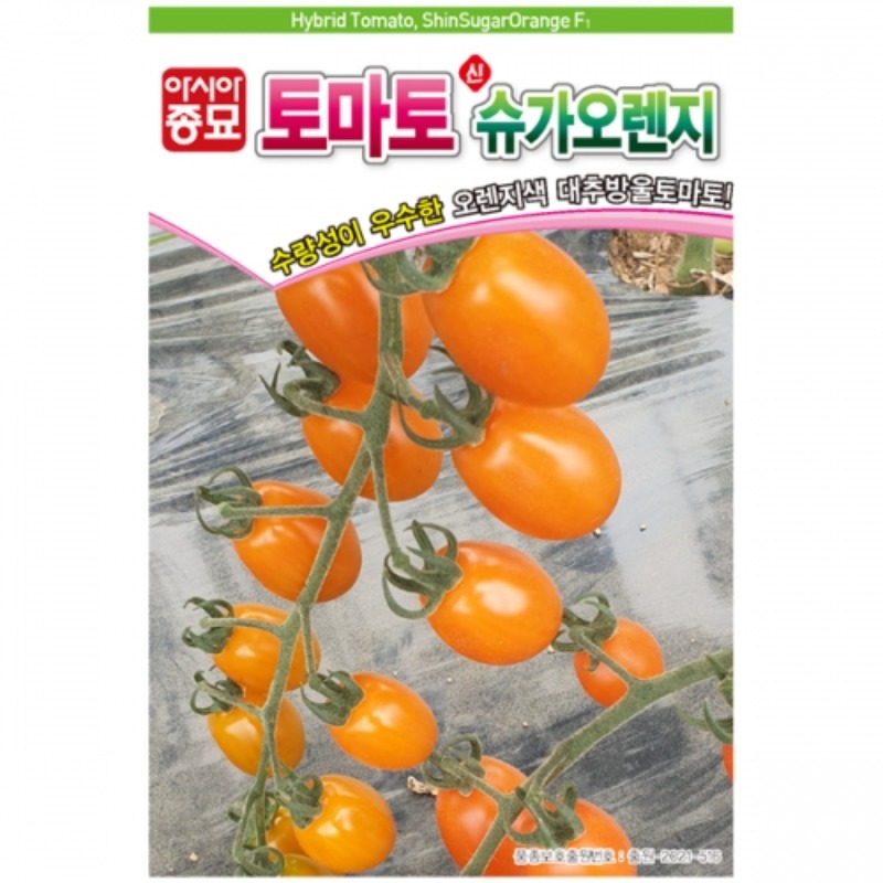 토마토씨앗종자 신슈가오렌지 (20립) 대추방울토마토