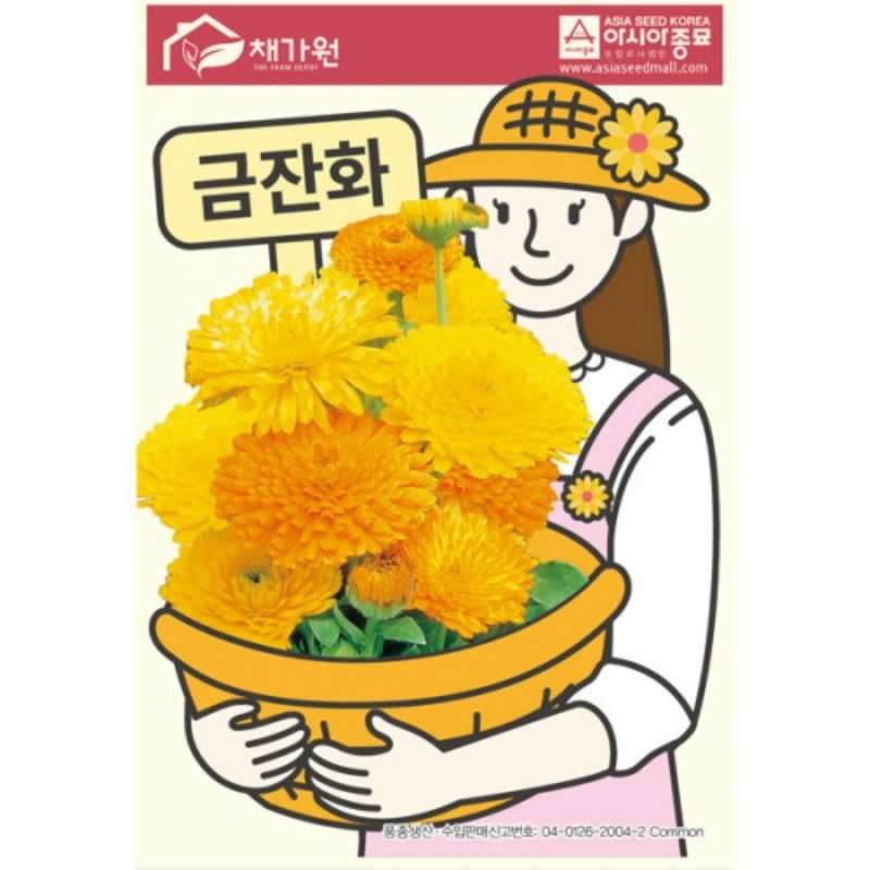 꽃씨앗 메리골드 금잔화 (500립)