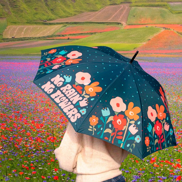 No rain no flowers 우산