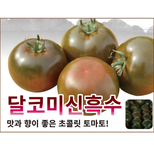 라이코펜 함량이 높은 흑색 기능성 토마토