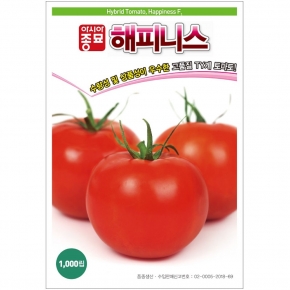 수량성 및 상품성이 우수한 고품질 TY계 토마토